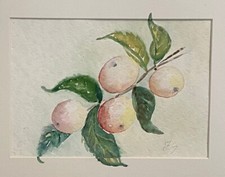 äpfel riginal aquarell gebraucht kaufen  Deutschland