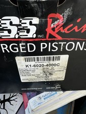 Dss piston kit for sale  Noble