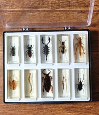 National geographic 10pcs for sale  MANCHESTER