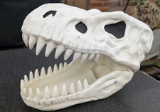 Rex skull candy for sale  BROMSGROVE