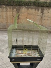 Gabbia pappagalli usato  Trapani