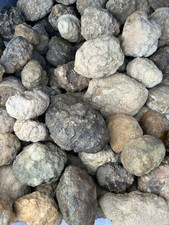 Pounds bulk lot for sale  Coxs Creek