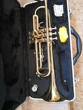 Tromba roling astuccio usato  Italia