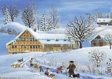 D136645 langenegger winter for sale  WARLINGHAM