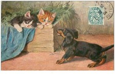 Chien 38138. teckel. d'occasion  France