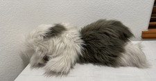 Old english sheepdog for sale  Broomfield
