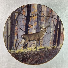 Sunlit trail plate for sale  Vergas