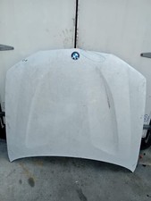 Cofano anteriore bmw usato  Roma