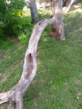 reptile tank for sale  San Benito