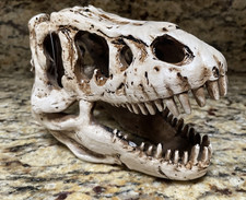 Rex dinosaur resin for sale  Phoenix