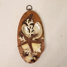 Vintage seashell starfish for sale  Andover