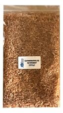 Gammarus shrimp dried for sale  SITTINGBOURNE