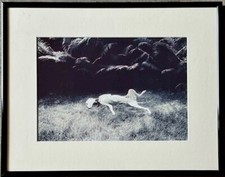 Art photograph sleeping for sale  Chambersburg