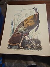 Vtg audubon great for sale  Marshfield