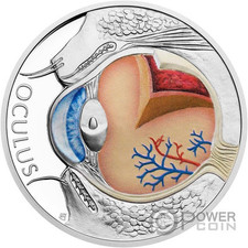 Eye corpo umano usato  Ciampino
