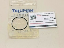T3600082 originale triumph usato  Conversano