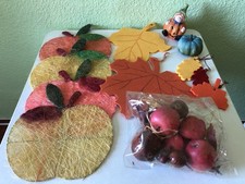 Konvolut herbstdeko herbst gebraucht kaufen  Riesa