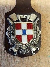 Insigne pompier valence d'occasion  Saint-Père-en-Retz
