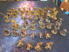 Warhammer aos painted for sale  SOUTHSEA