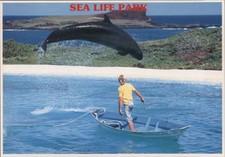 Sea Life Park Whale Jumping Over Trainer HAVAÍ T. Sylvain Pacific Promoção, usado comprar usado  Enviando para Brazil