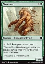 Mtg werebear foil usato  Bari