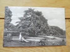 merrow for sale  TROWBRIDGE