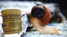 Crema viso antietà usato  San Clemente