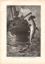 Stampa antica pesca usato  Lecco
