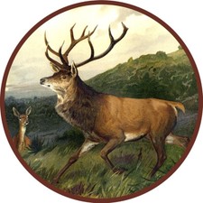 Edelhirsch brunft rotwild gebraucht kaufen  Grabenstätt