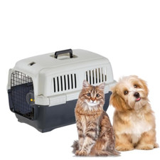 Ferplast trasportino gatto usato  Roccagloriosa