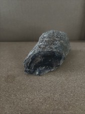 Jacks stuff petrified for sale  Kingstree