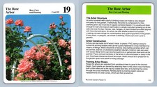 Rose arbor roses for sale  SLEAFORD