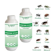Copyr cipertrin plus usato  San Giovanni Rotondo