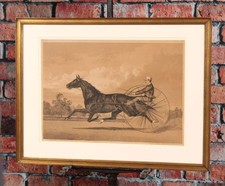Rare antique photo for sale  Doylestown