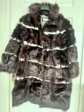 Brown pure raccoon for sale Brown pure raccoon for sale  LONDON