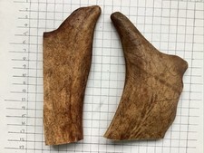 Antler dog chew. for sale  BOGNOR REGIS