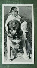 Golden retriever child for sale  DERBY