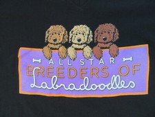 Star breeders labradoodles for sale  Jenison