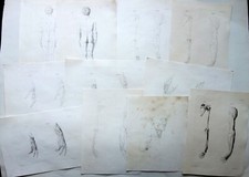 Incisioni anatomiche tratto usato  Italia