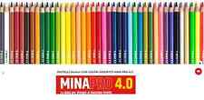 Pastelli minapro 4.0 usato  Italia
