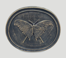 Vtg butterfly entomology for sale  Ventura