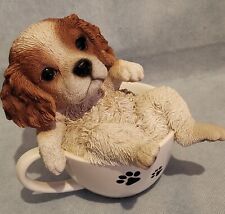 Vivid arts pet for sale  WEST CALDER