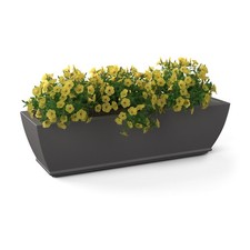Inc. acadia 3ft for sale  Ashford