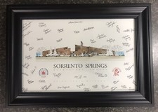 John pils sorrento for sale  Saint Charles