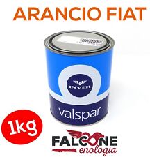 Barattolo vernice 1kg usato  Casapesenna