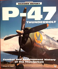 Thunderbolt combat and usato  Roma