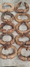 Pairs large ram for sale  CHIPPENHAM