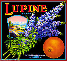 Verne lordsburg lupine for sale  La Verne