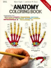 Anatomy coloring book for sale  Montgomery