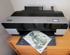 Epson pro 3800 for sale  BANGOR
